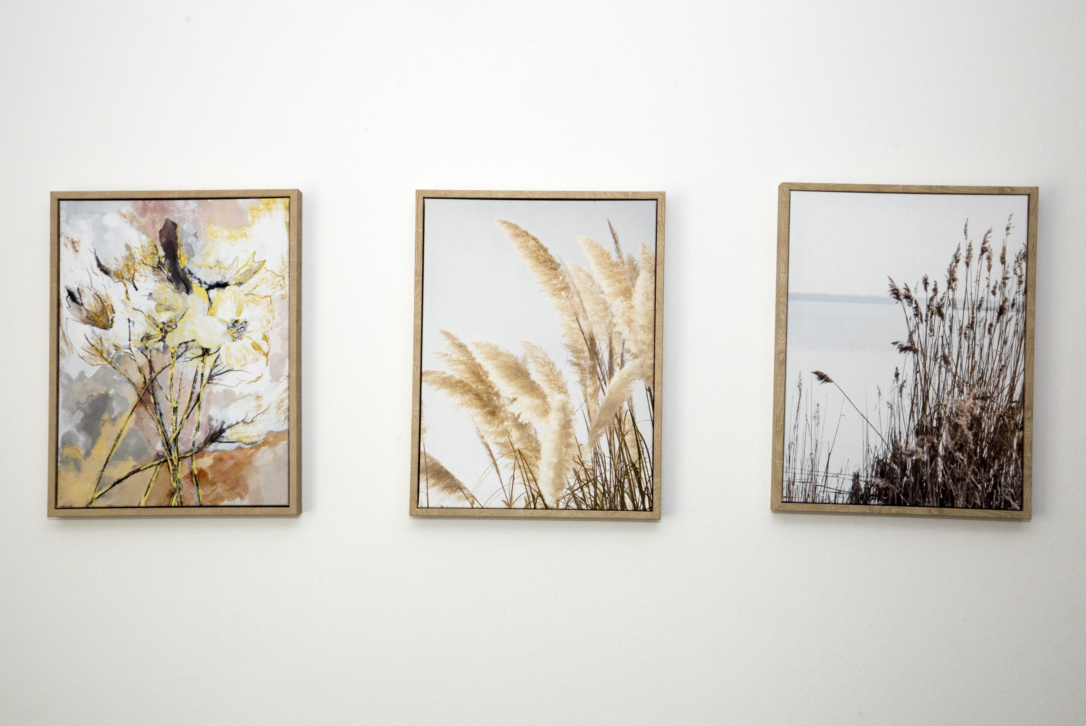 Drone: scenic valley overview